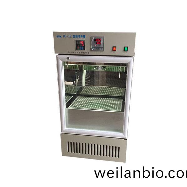 BS-1E振盪培(pei)養箱